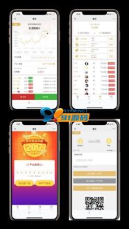Thinkphp内核全新趣投币圈H5美元MAX币圈源码 带视频搭建教程-91源码网