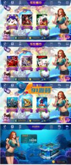 全新大富豪电玩城游戏源码 3.5完美运营版源码下载新增透视控制代理后台房间控分管理+视频教程-91源码网