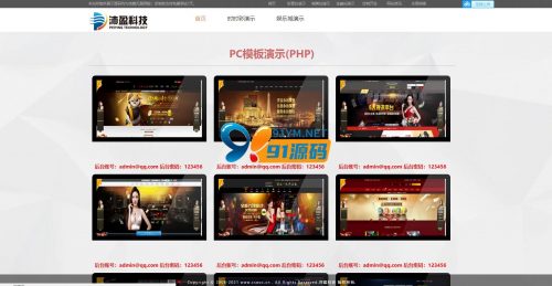 一套实用演示站/接单站-91源码网