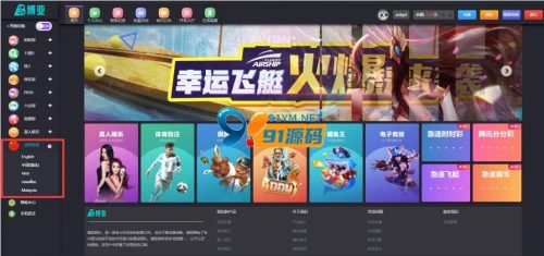 五语言/多语言/聚星娱乐/大富二开/支持分权/底层优化/包网版-91源码网