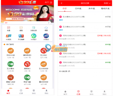 大富BC二开美化版双玩法整站运营级源码/采集正常-91源码网