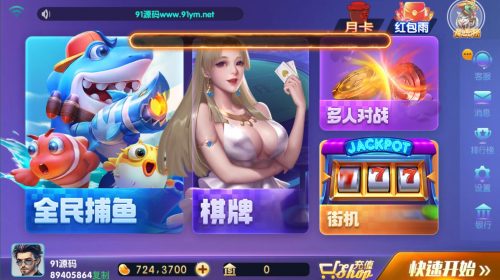 网狐电玩系列728电玩城棋牌组件带解密工具-91源码网