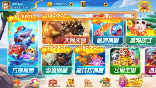 网狐电玩系列海岸线/心品电玩城棋牌组件带解密工具-91源码网
